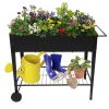 Aveyas Mobile Metal Raised Garden Bed Cart with Legs, Elevated Tall Planter Box with Wheels for Outdoor Indoors House Patio Backyard Vegetables Tomato