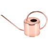 Indoor And Outdoor Portable Plants Long Spout Watering Pot